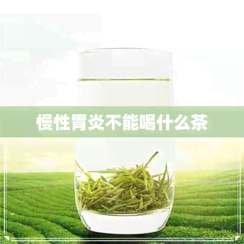 慢性胃炎不能喝什么茶