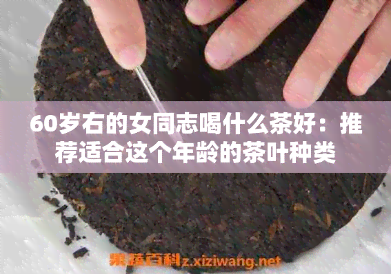 60岁右的女同志喝什么茶好：推荐适合这个年龄的茶叶种类