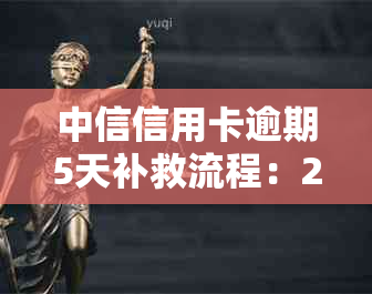 中信信用卡逾期5天补救流程：2021年新法规解读及上时间解析。