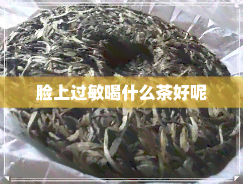 脸上过敏喝什么茶好呢