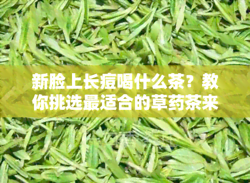 新脸上长痘喝什么茶？教你挑选最适合的草茶来改善肌肤状况