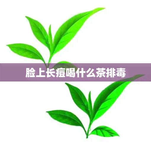 脸上长痘喝什么茶排