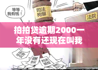 拍拍贷逾期2000一年没有还现在叫我还6000,怎么办？