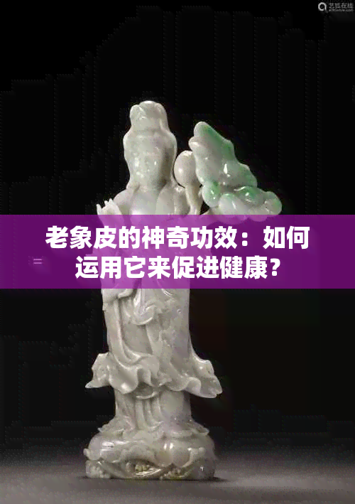 老象皮的神奇功效：如何运用它来促进健康？