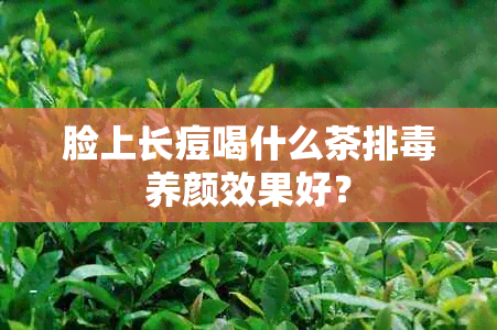 脸上长痘喝什么茶排养颜效果好？