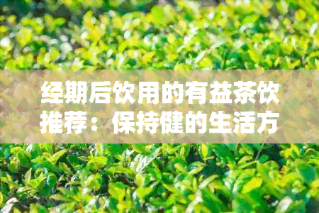 经期后饮用的有益茶饮推荐：保持健的生活方式