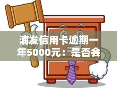 浦发信用卡逾期一年5000元：是否会被起诉？了解详细资讯