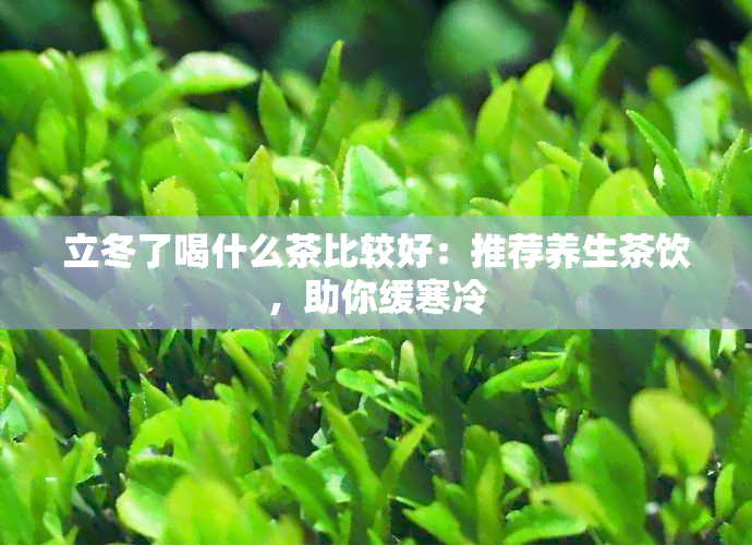 立冬了喝什么茶比较好：推荐养生茶饮，助你缓寒冷