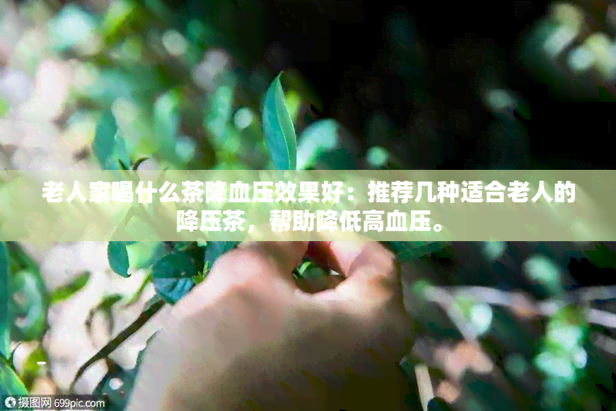 老人家喝什么茶降血压效果好：推荐几种适合老人的降压茶，帮助降低高血压。