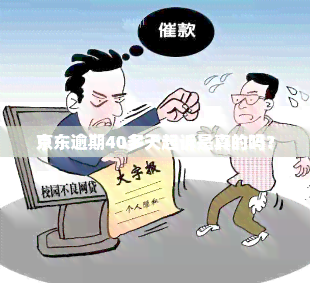 京东逾期40多天起诉是真的吗？