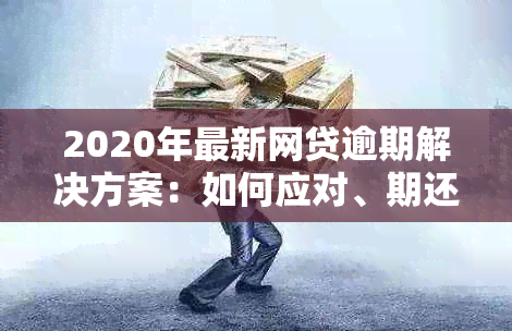 2020年最新网贷逾期解决方案：如何应对、期还款和预防措一文详解！