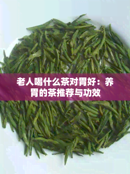 老人喝什么茶对胃好：养胃的茶推荐与功效