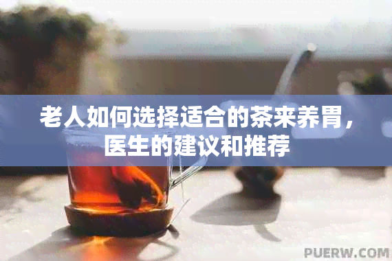 老人如何选择适合的茶来养胃，医生的建议和推荐