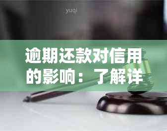 逾期还款对信用的影响：了解详情、预防措与恢复策略