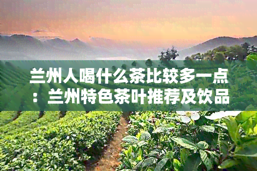 兰州人喝什么茶比较多一点：兰州特色茶叶推荐及饮品偏好