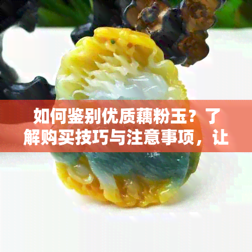 如何鉴别优质藕粉玉？了解购买技巧与注意事项，让你轻松挑选到满意的产品