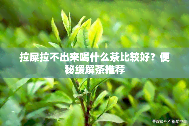 拉屎拉不出来喝什么茶比较好？便秘缓解茶推荐