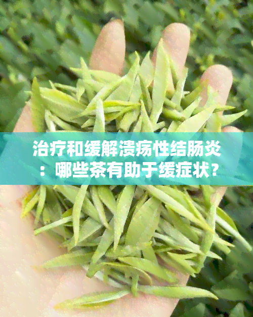 治疗和缓解溃疡性结肠炎：哪些茶有助于缓症状？