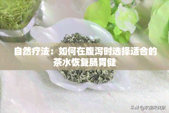 自然疗法：如何在腹泻时选择适合的茶水恢复肠胃健