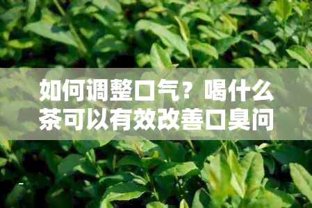 如何调整口气？喝什么茶可以有效改善口臭问题？