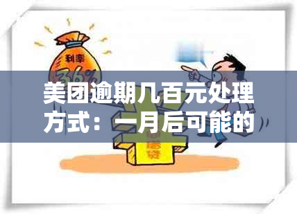 美团逾期几百元处理方式：一月后可能的后果与美团是否起诉