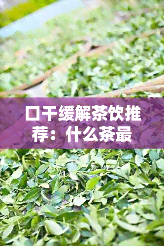 口干缓解茶饮推荐：什么茶最适合口渴？