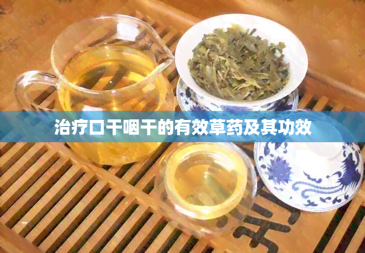 治疗口干咽干的有效草及其功效