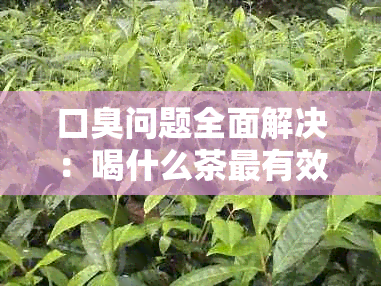 口臭问题全面解决：喝什么茶最有效？如何预防和治疗口臭？