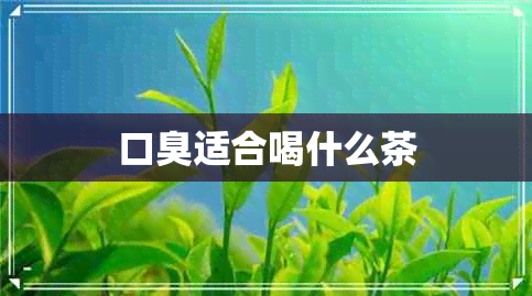 口臭适合喝什么茶