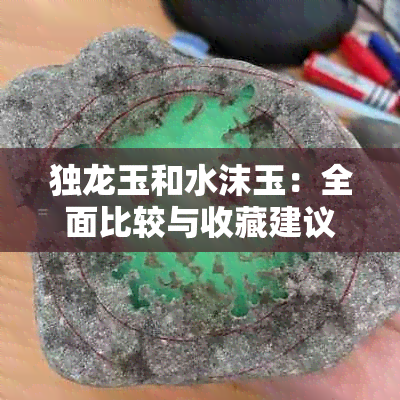 独龙玉和水沫玉：全面比较与收藏建议，哪个更值得投资？