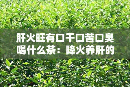 肝火旺有口干口苦口臭喝什么茶：降火养肝的六种茶推荐