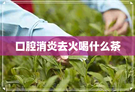 口腔消炎去火喝什么茶