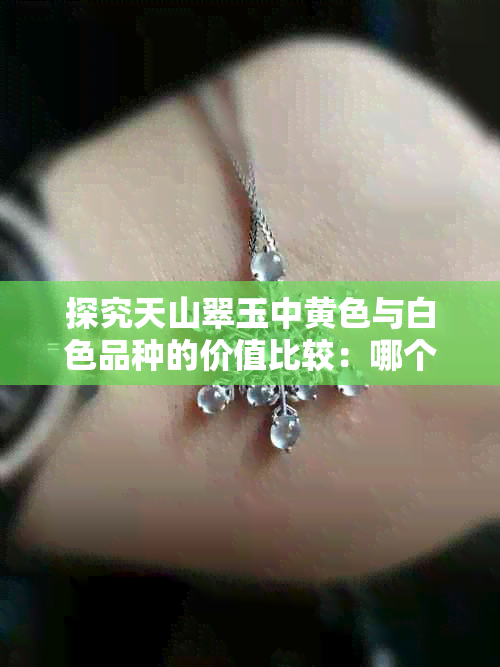 探究天山翠玉中黄色与白色品种的价值比较：哪个更昂贵？