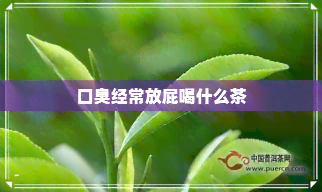 口臭经常放屁喝什么茶