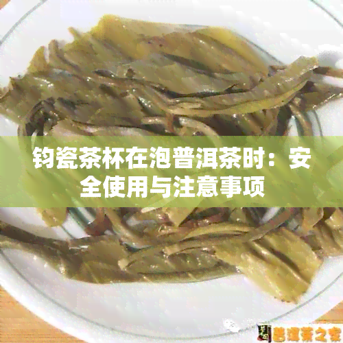 钧瓷茶杯在泡普洱茶时：安全使用与注意事项