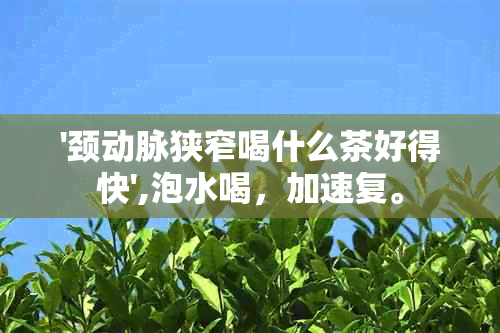 '颈动脉狭窄喝什么茶好得快',泡水喝，加速复。