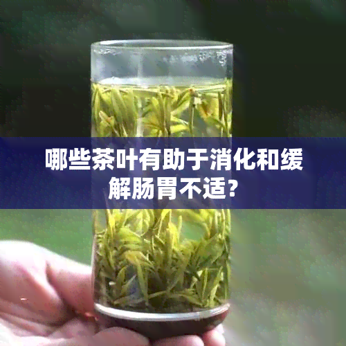 哪些茶叶有助于消化和缓解肠胃不适？