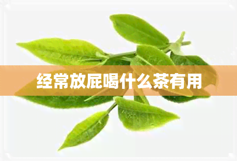 经常放屁喝什么茶有用