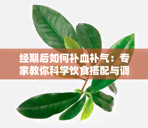 经期后如何补血补气：专家教你科学饮食搭配与调理方法