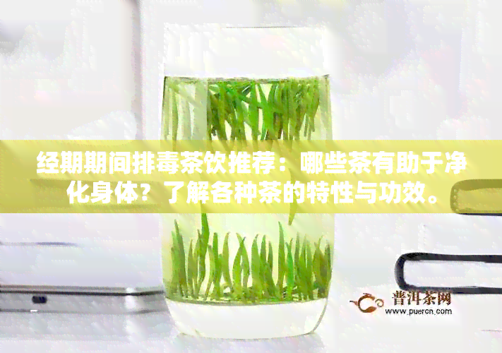 经期期间排茶饮推荐：哪些茶有助于净化身体？了解各种茶的特性与功效。