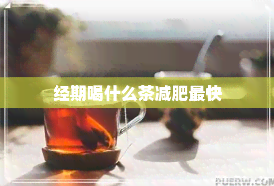 经期喝什么茶减肥最快