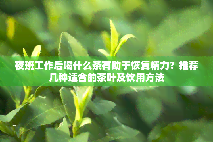 夜班工作后喝什么茶有助于恢复精力？推荐几种适合的茶叶及饮用方法