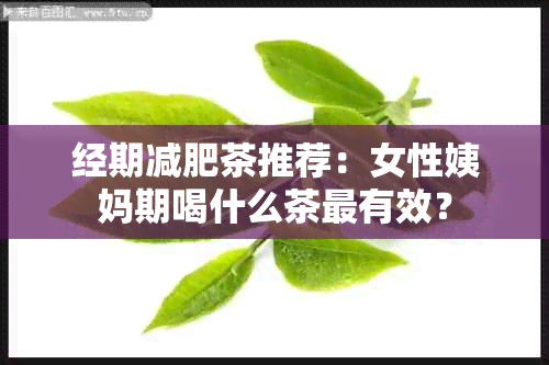 经期减肥茶推荐：女性姨妈期喝什么茶最有效？