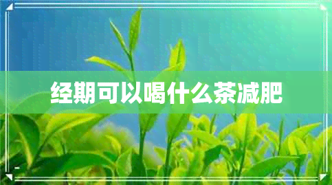 经期可以喝什么茶减肥