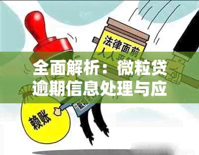 全面解析：微粒贷逾期信息处理与应对策略，解答用户关心的所有问题