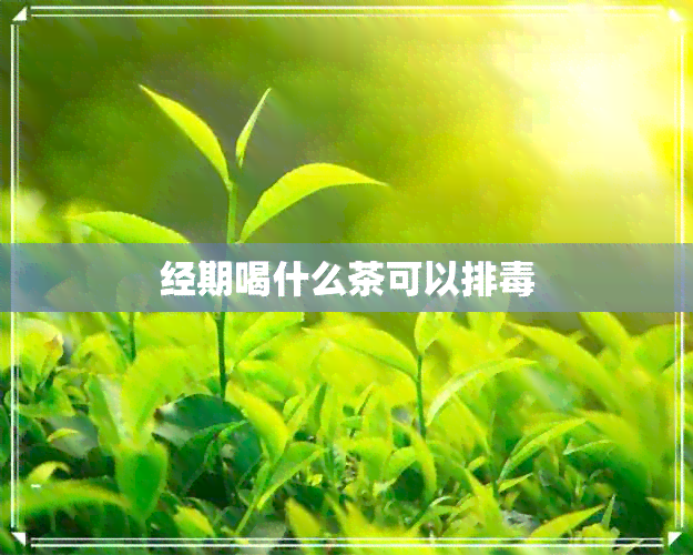 经期喝什么茶可以排