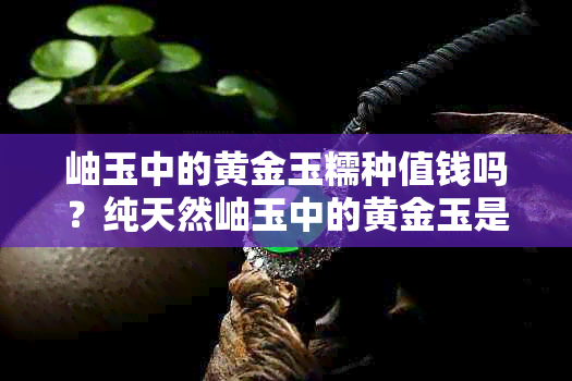 岫玉中的黄金玉糯种值钱吗？纯天然岫玉中的黄金玉是什么？