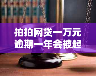 拍拍网贷一万元逾期一年会被起诉吗？