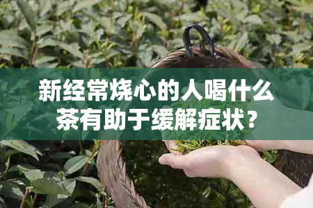 新经常烧心的人喝什么茶有助于缓解症状？