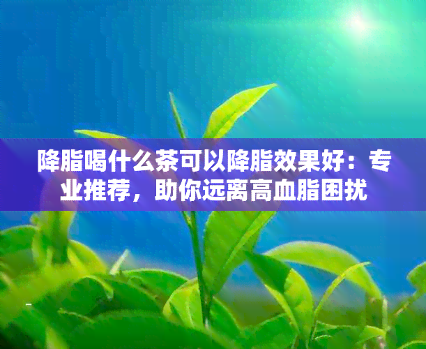 降脂喝什么茶可以降脂效果好：专业推荐，助你远离高血脂困扰